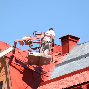 Roof painter