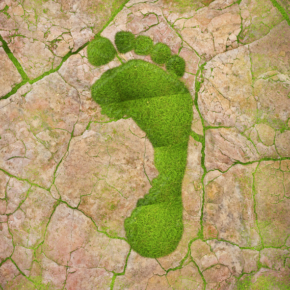 La importancia de medir la huella de carbono
