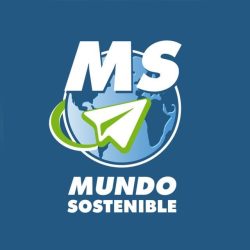 WhatsApp Image 2026-03-17 at 13.09.42